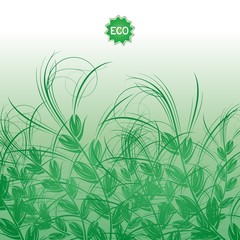 Abstract eco background with grass ears of corn and label. Vector eps 10