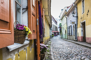 Old Street of Tallinn Estonia - obrazy, fototapety, plakaty