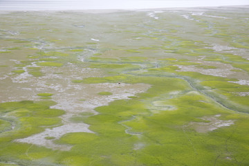 Aerial view of alaskan wilderness from a small airplane