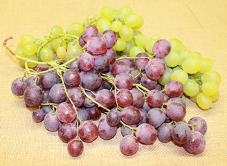 raisin blanc et muscat