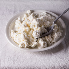 Homemade cottage cheese