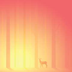 Deer lost in forest in the afternoon