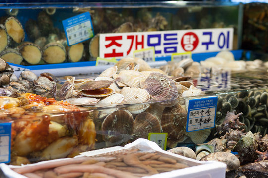 Scallops and other shells at fish market