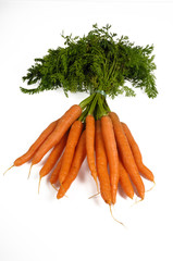 carrots with white background