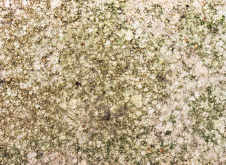 Stone.