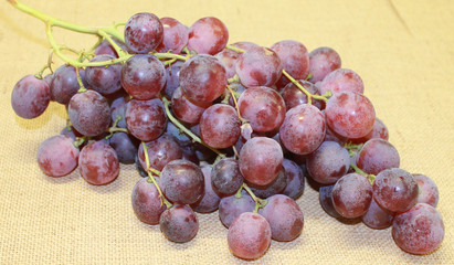raisin muscat