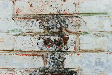 Texture. Brick. It can be used as a background