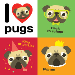 Fototapeta premium Funny pugs in different situations.
