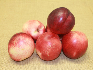nectarine