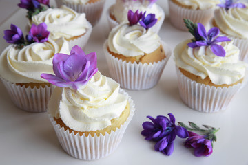 Edible purple freesia flowers on vanilla cupcakes with whipped c
