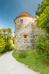 Fototapeta na wymiar Burg von Ljubljana