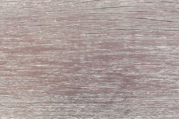 Fototapeta premium Wood texture