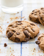 chocolate cookie