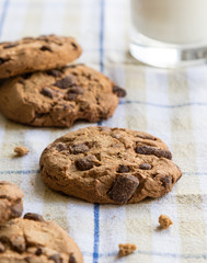 chocolate cookie