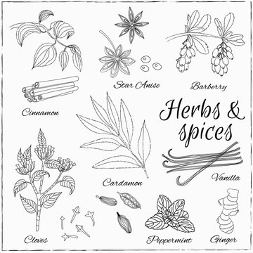 set with Herbs and Spices.