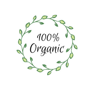 Organic hand-sketched herbal vector frame