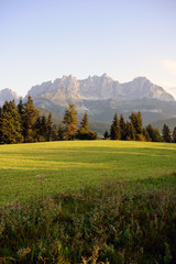 Obraz premium Wiese mit Kaisergebirge im Hintergrund 