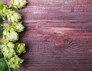 Hop cones n the wooden background