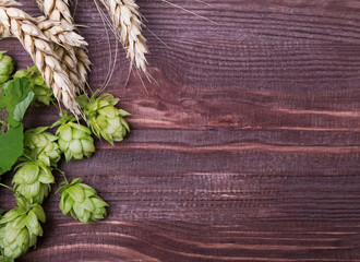 Hop cones and wheat ears on the wooden background