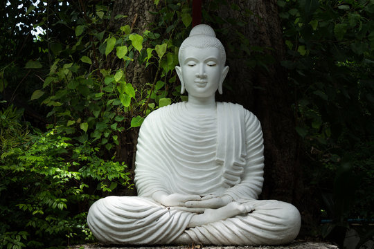 white buddha