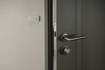 silver knob door