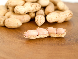 groundnut