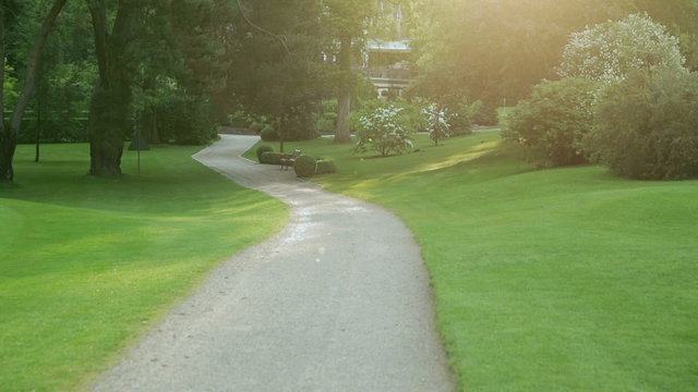 a sand trap at a golf course in germany. the sun shines through the trees and bushes.