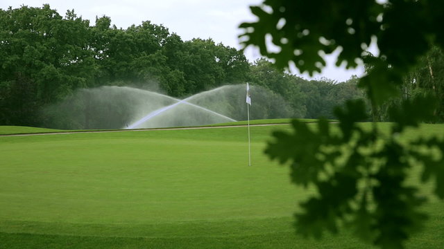 in the front is a blurred branch of an oak and in the background the golf course with sprinklers and a white golf flag.