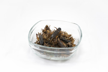 fried crickets thai style