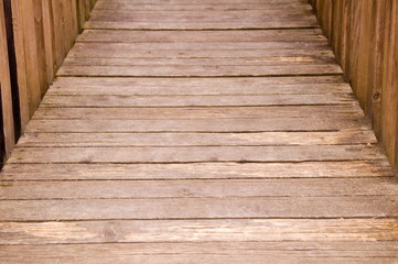 wooden way  - illustration based on own photo image