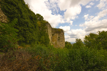 Fototapeta na wymiar Ruine der vorderen Wartenberg in Muttenz