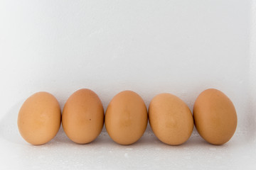 fresh five eggs