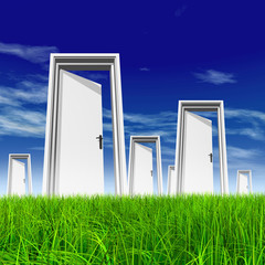 White door in grass with sky background