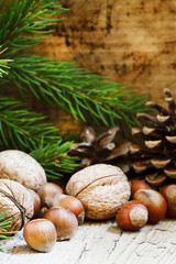 Christmas background with walnuts, hazelnuts and fir branches an