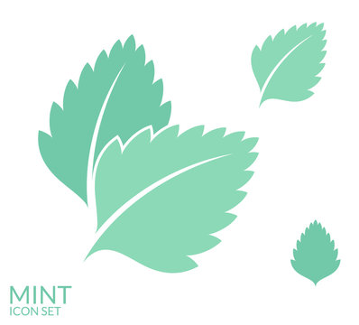Mint. Icon set. Isolated leaves on white background