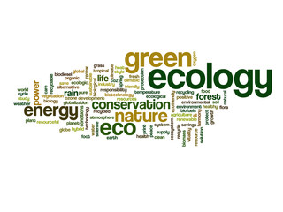 Conceptual ecology word cloud