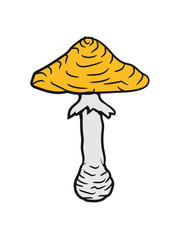 mushroom forest yellow hat edible