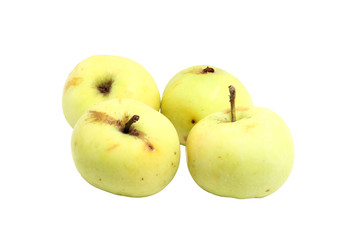 yellow and green apples on a white background