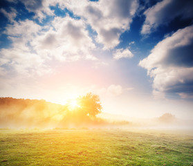 Fototapeta premium Fantastic foggy meadow