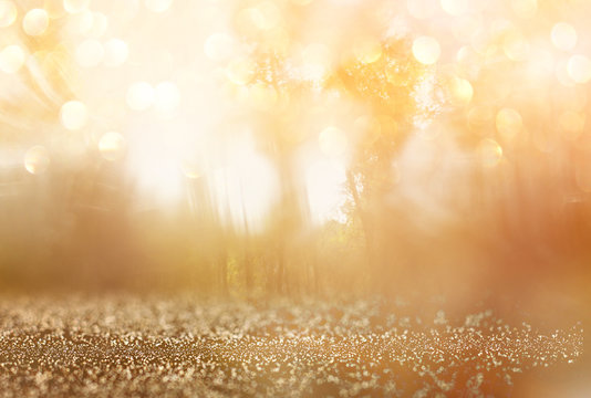 abstract photo of light burst among trees and glitter bokeh lights. image is blurred and filtered .
