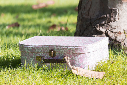 Beautiful vintage suitcase in autumn park