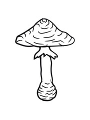 mushroom forest yellow hat edible