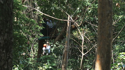 man on a zip line through the trees - Powered by Adobe