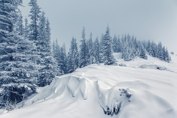 Obraz premium Dramatic wintry landscape