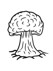 Brown mushroom roots soil