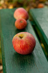 fresh garden apples