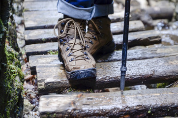 Obraz premium trekking shoes - hiking boots