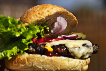 Homemade burger closeup