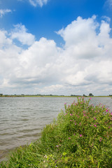 Fototapeta na wymiar Dutch river landscape