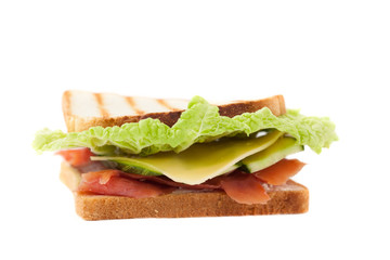 sandwich on a white background